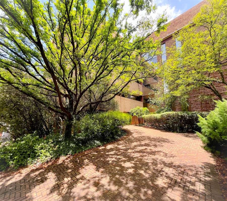 To Let Commercial Property for Rent in Parktown Gauteng