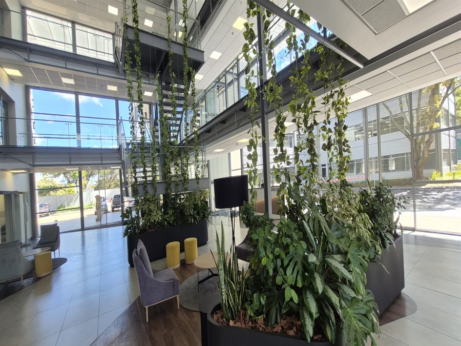 To Let Commercial Property for Rent in Illovo Gauteng