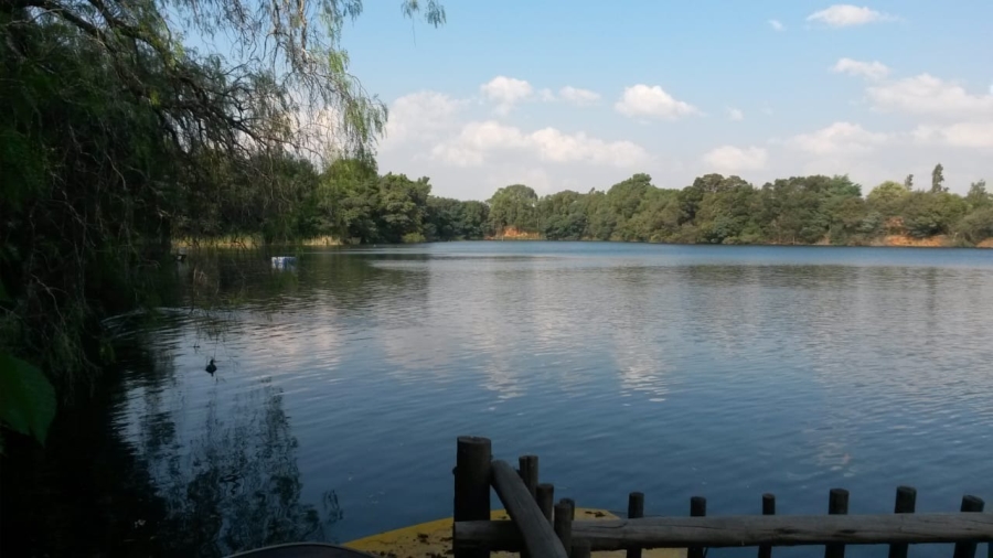 Commercial Property for Sale in Primrose Gauteng