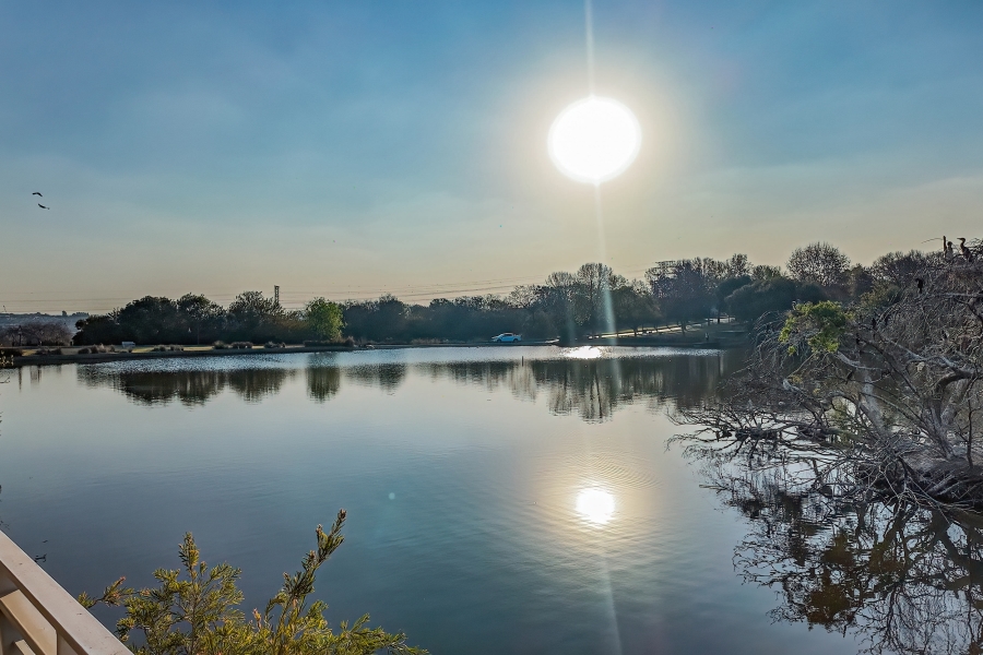 To Let 3 Bedroom Property for Rent in Cedar Lakes Gauteng