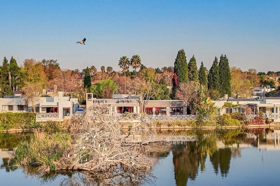 To Let 3 Bedroom Property for Rent in Cedar Lakes Gauteng