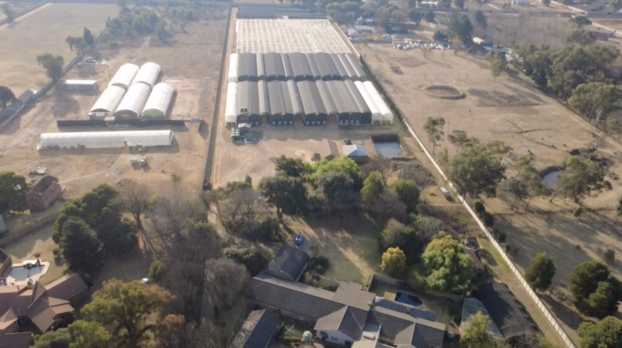 6 Bedroom Property for Sale in Benoni AH Gauteng