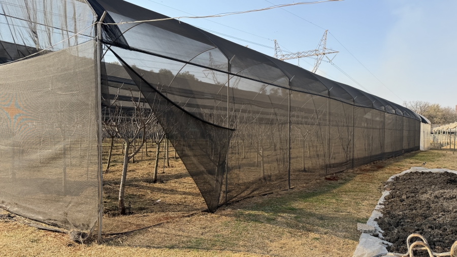 6 Bedroom Property for Sale in Benoni AH Gauteng