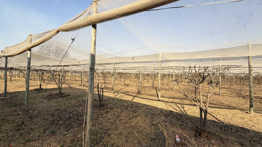 6 Bedroom Property for Sale in Benoni AH Gauteng