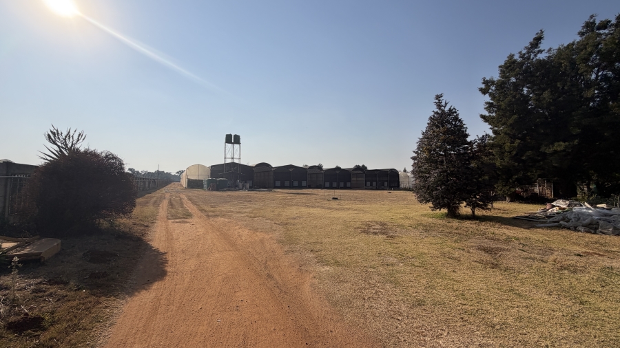 6 Bedroom Property for Sale in Benoni AH Gauteng