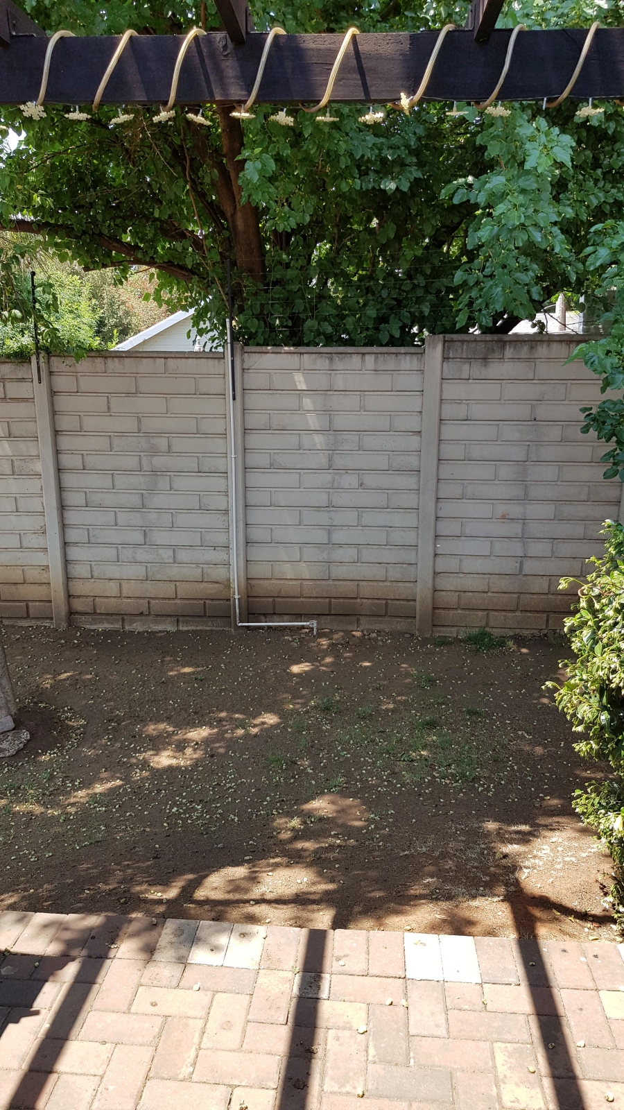 To Let 1 Bedroom Property for Rent in Greenstone Hill Gauteng