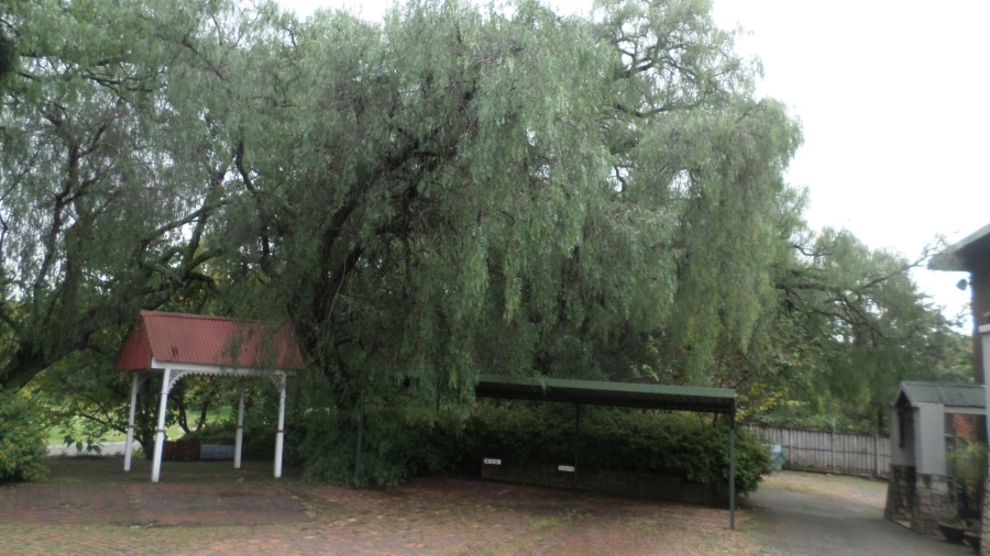 To Let Commercial Property for Rent in Primrose Gauteng