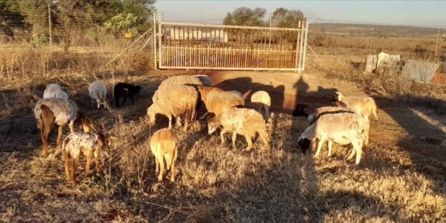 0 Bedroom Property for Sale in Cullinan Gauteng