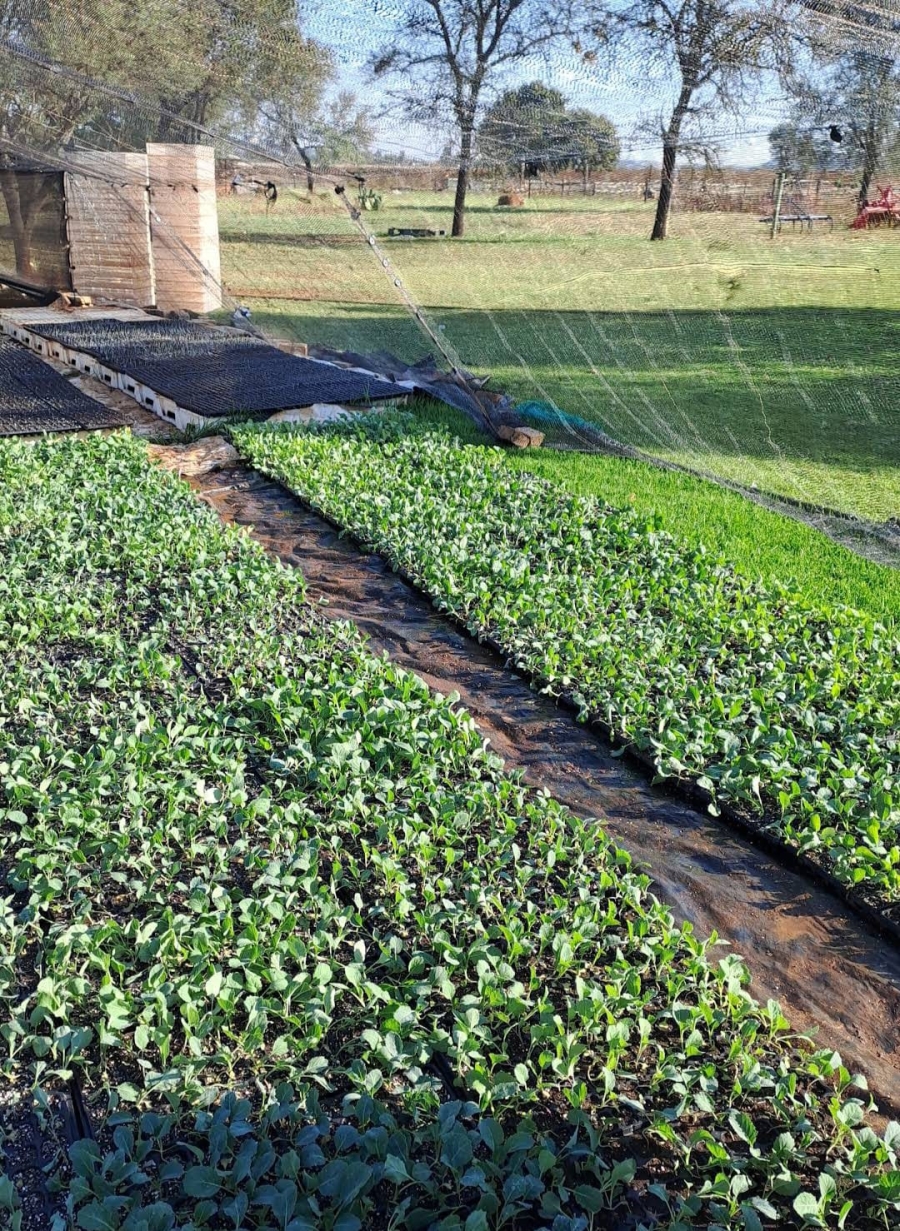 0 Bedroom Property for Sale in Cullinan Gauteng