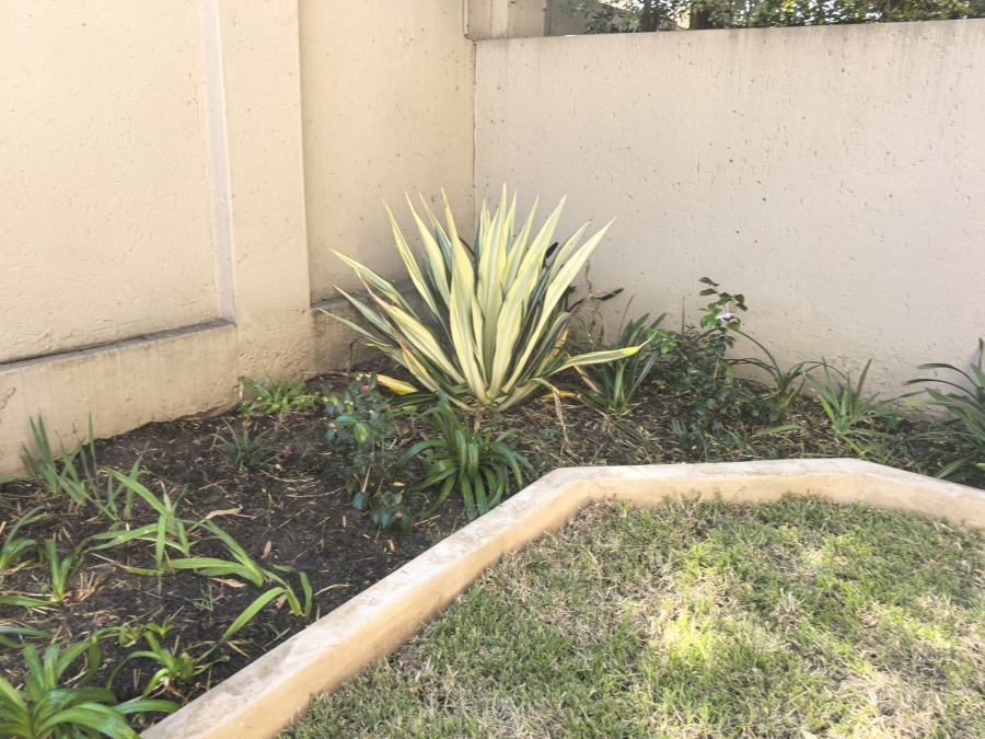 To Let 1 Bedroom Property for Rent in Sunninghill Gauteng