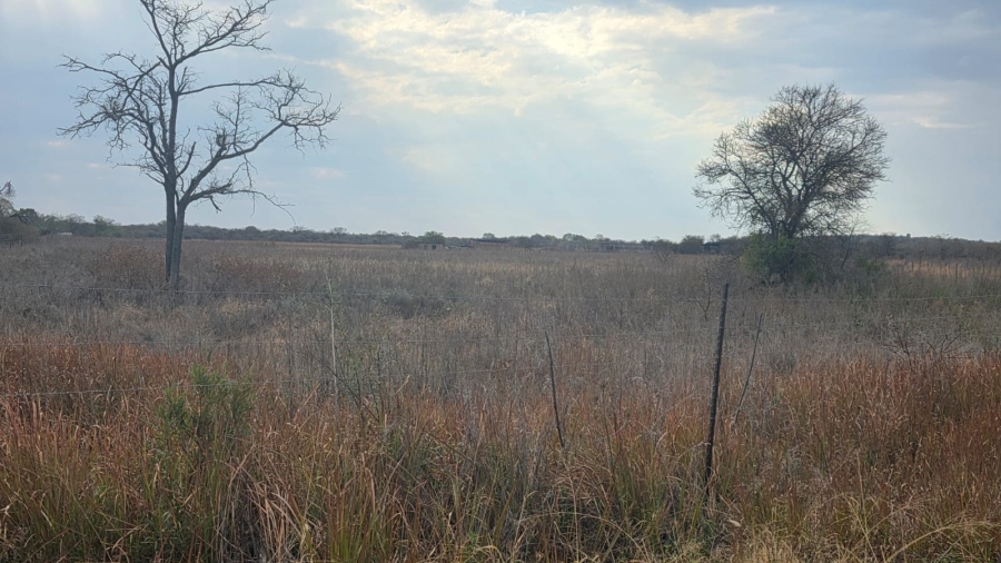 0 Bedroom Property for Sale in Roodeplaat Gauteng