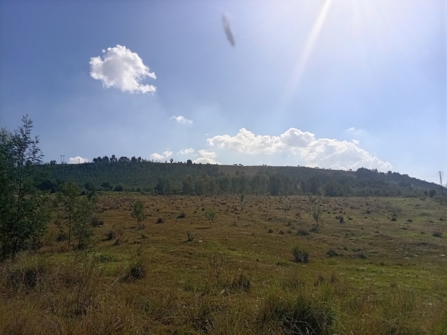 0 Bedroom Property for Sale in Nooitgedacht AH Gauteng