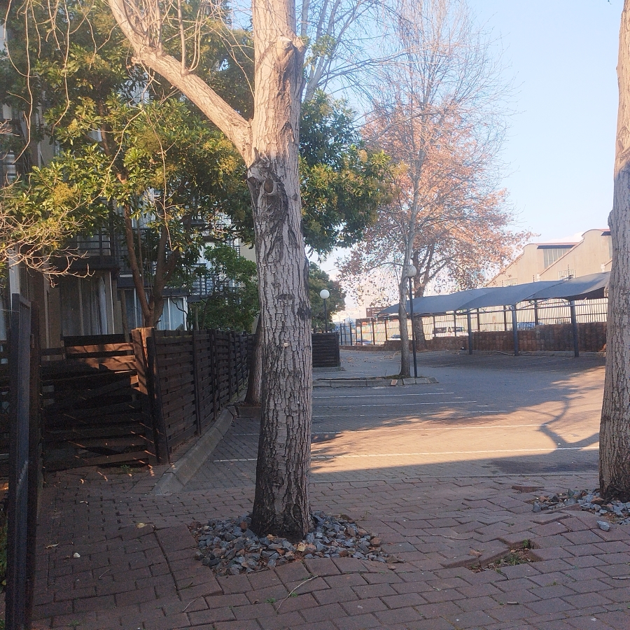 To Let 0 Bedroom Property for Rent in Braamfontein Gauteng