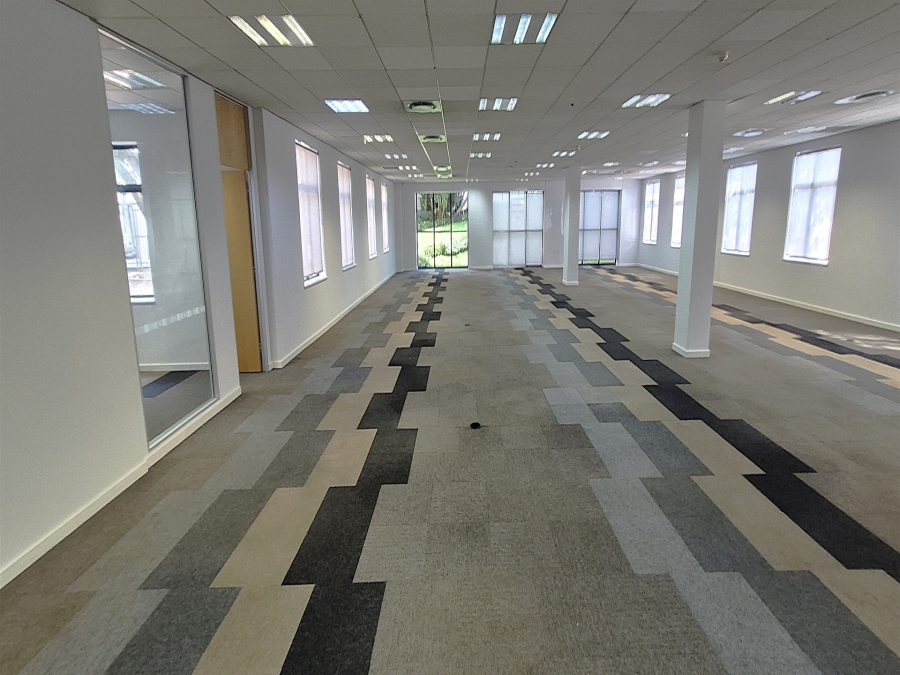 To Let Commercial Property for Rent in Illovo Gauteng