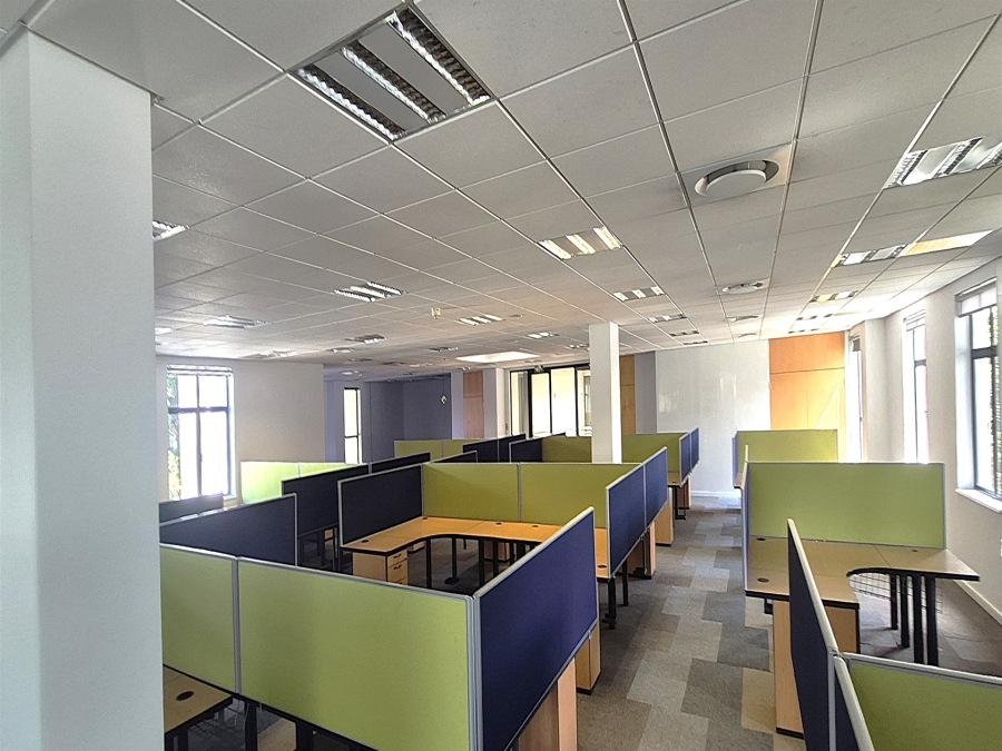To Let Commercial Property for Rent in Illovo Gauteng