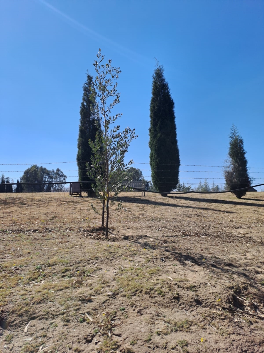 0 Bedroom Property for Sale in Vischgat Gauteng