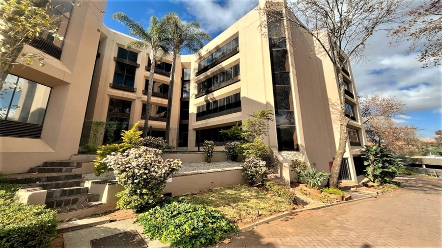 To Let Commercial Property for Rent in Parktown Gauteng