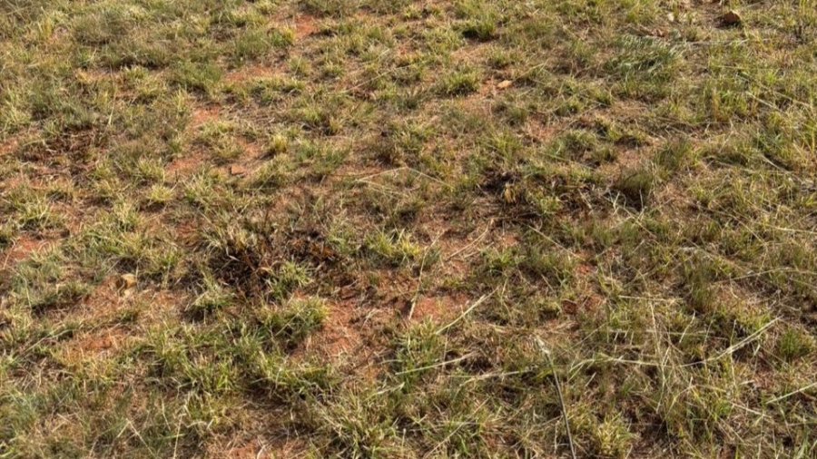 0 Bedroom Property for Sale in Simunye Gauteng