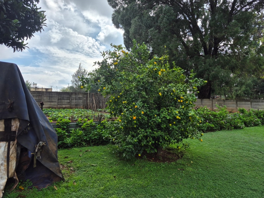 Commercial Property for Sale in Welgedacht Gauteng