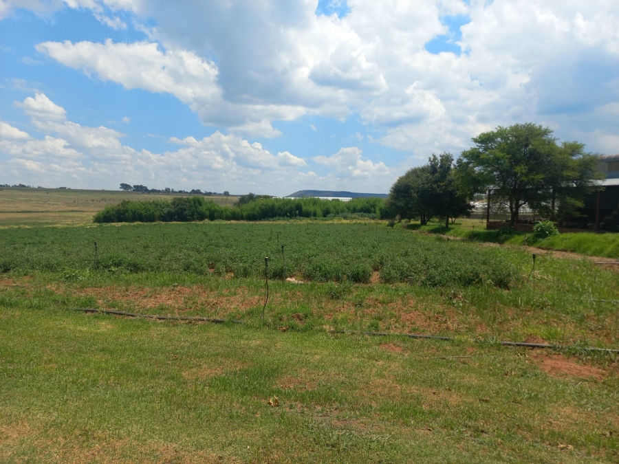 4 Bedroom Property for Sale in Hekpoort Gauteng