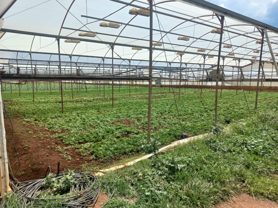 4 Bedroom Property for Sale in Hekpoort Gauteng