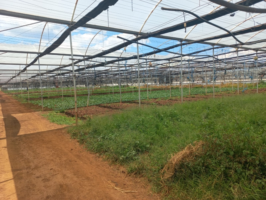 4 Bedroom Property for Sale in Hekpoort Gauteng