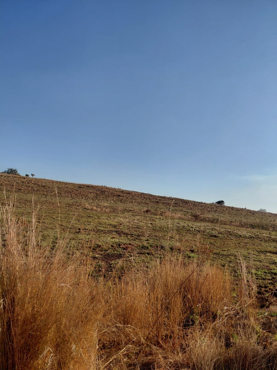 0 Bedroom Property for Sale in Knoppieslaagte Gauteng