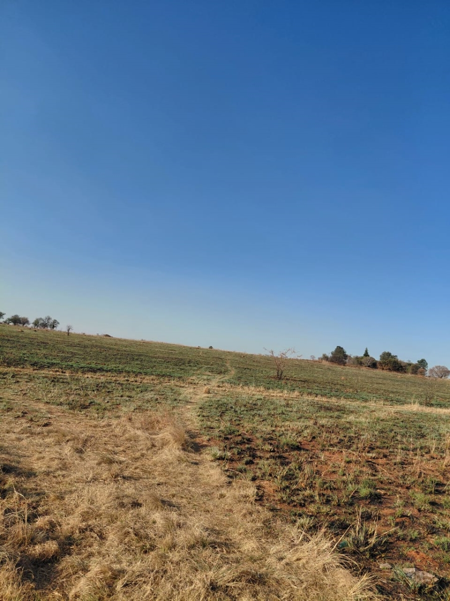 0 Bedroom Property for Sale in Knoppieslaagte Gauteng