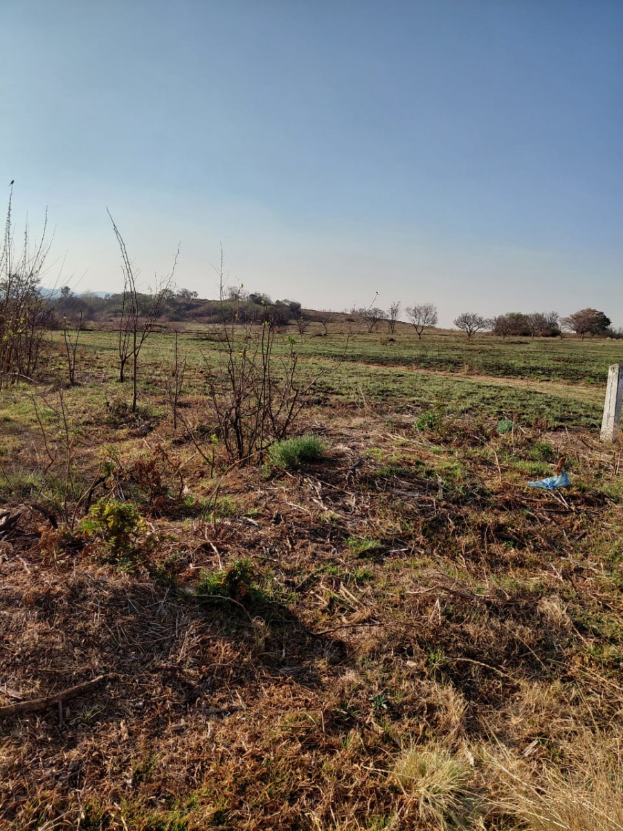 0 Bedroom Property for Sale in Knoppieslaagte Gauteng