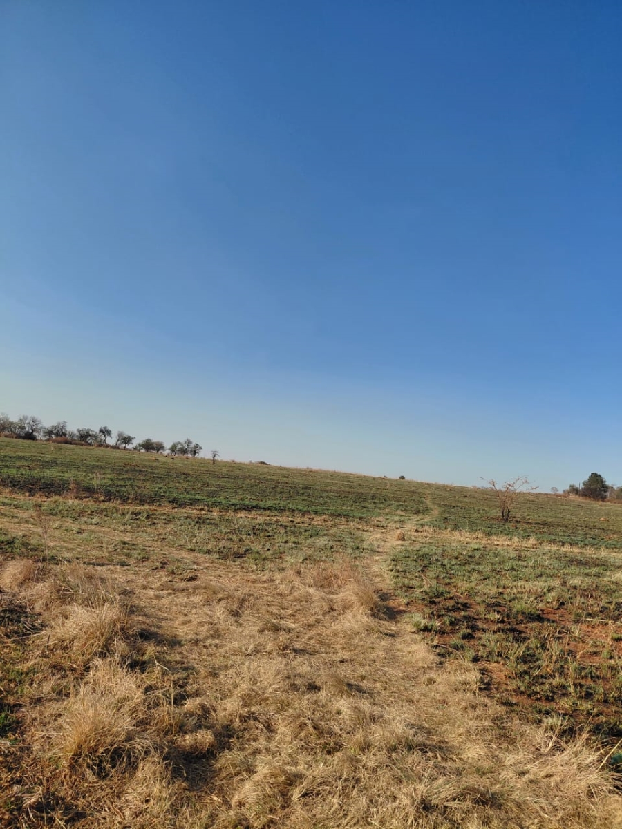 0 Bedroom Property for Sale in Knoppieslaagte Gauteng