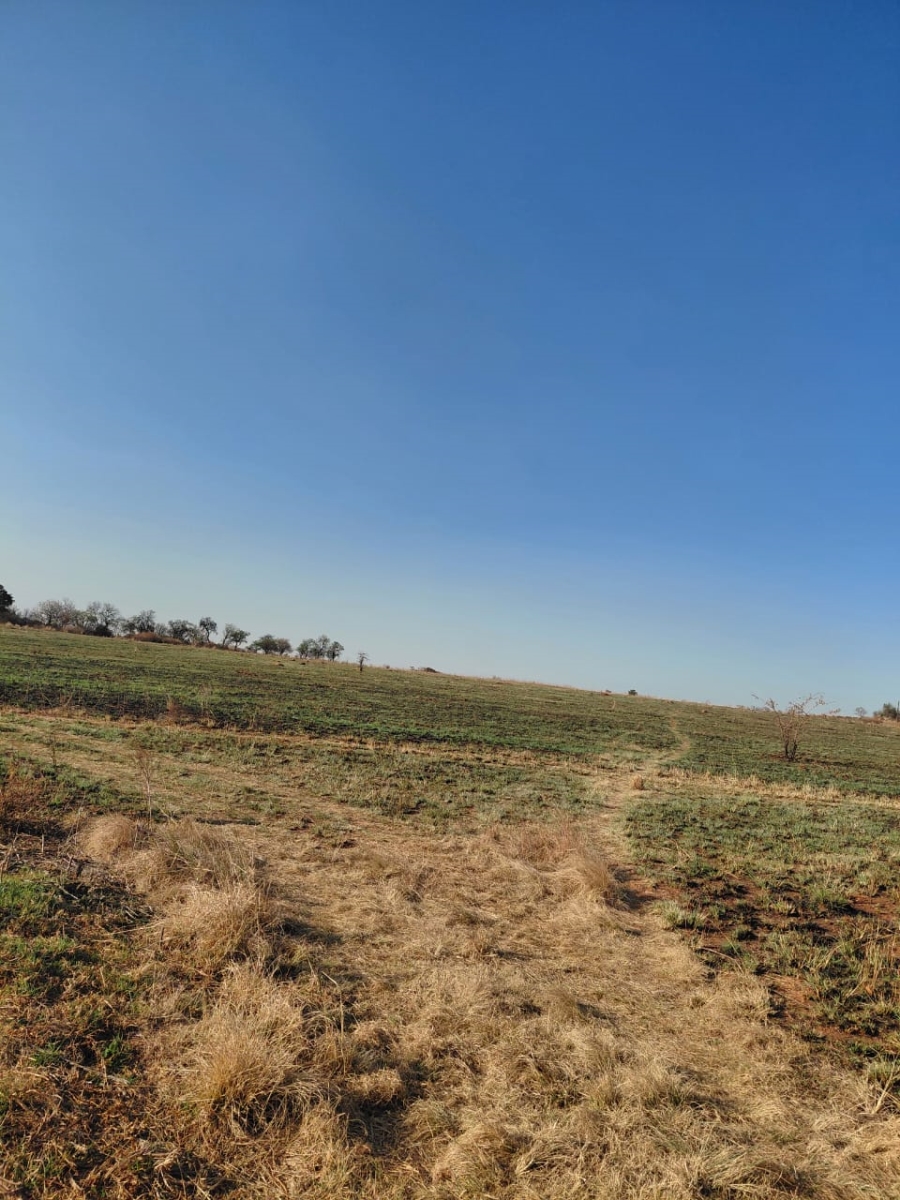 0 Bedroom Property for Sale in Knoppieslaagte Gauteng