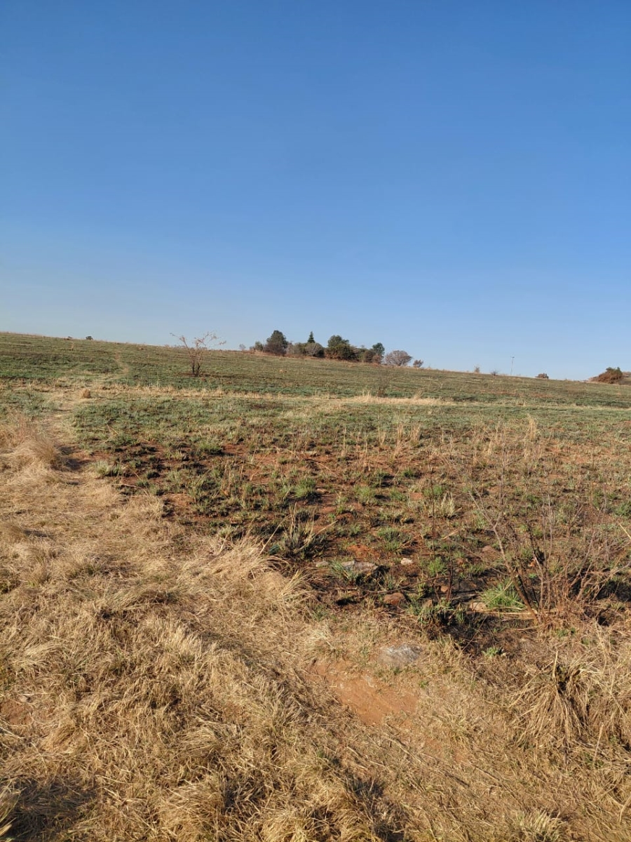 0 Bedroom Property for Sale in Knoppieslaagte Gauteng