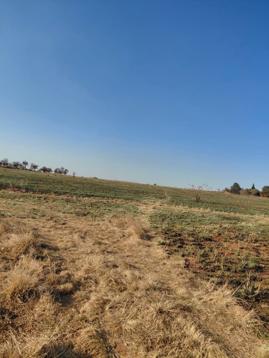 0 Bedroom Property for Sale in Knoppieslaagte Gauteng