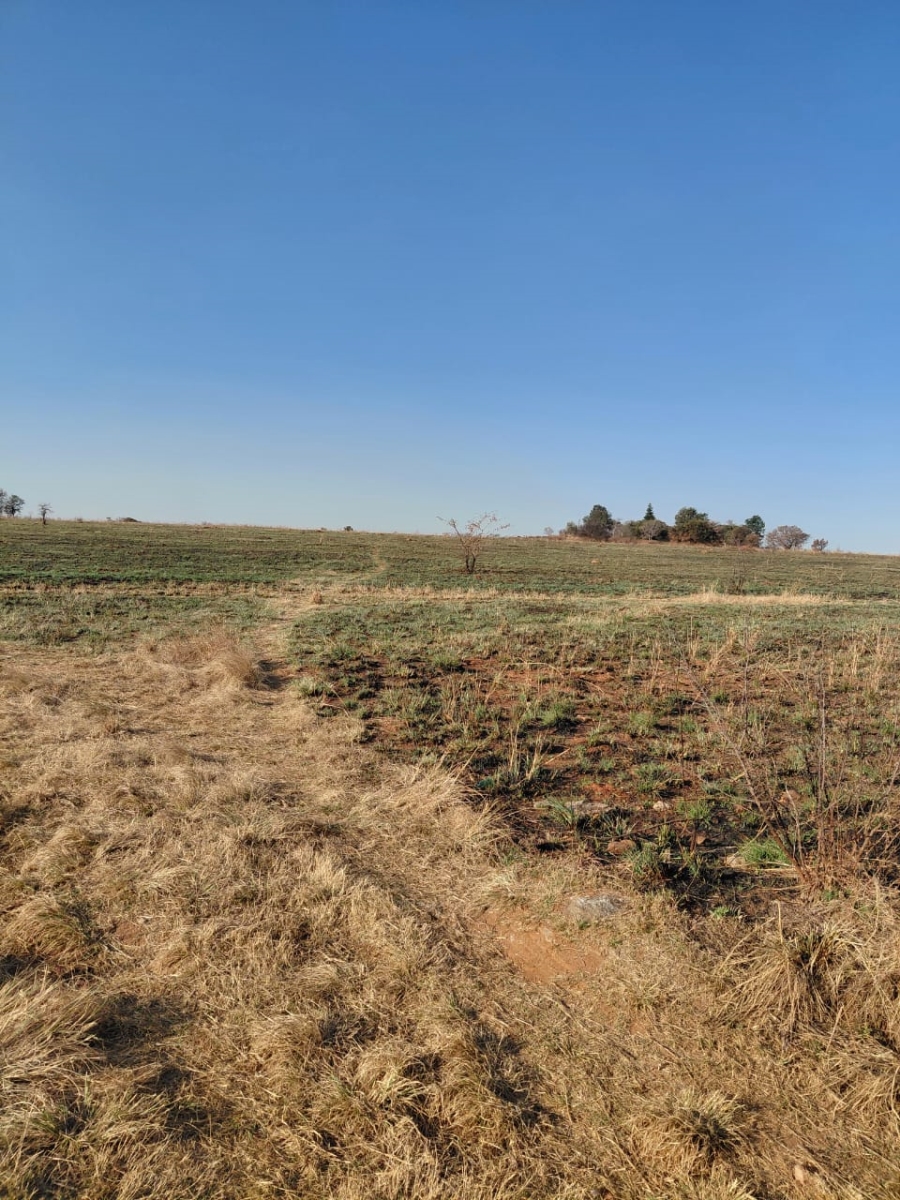 0 Bedroom Property for Sale in Knoppieslaagte Gauteng