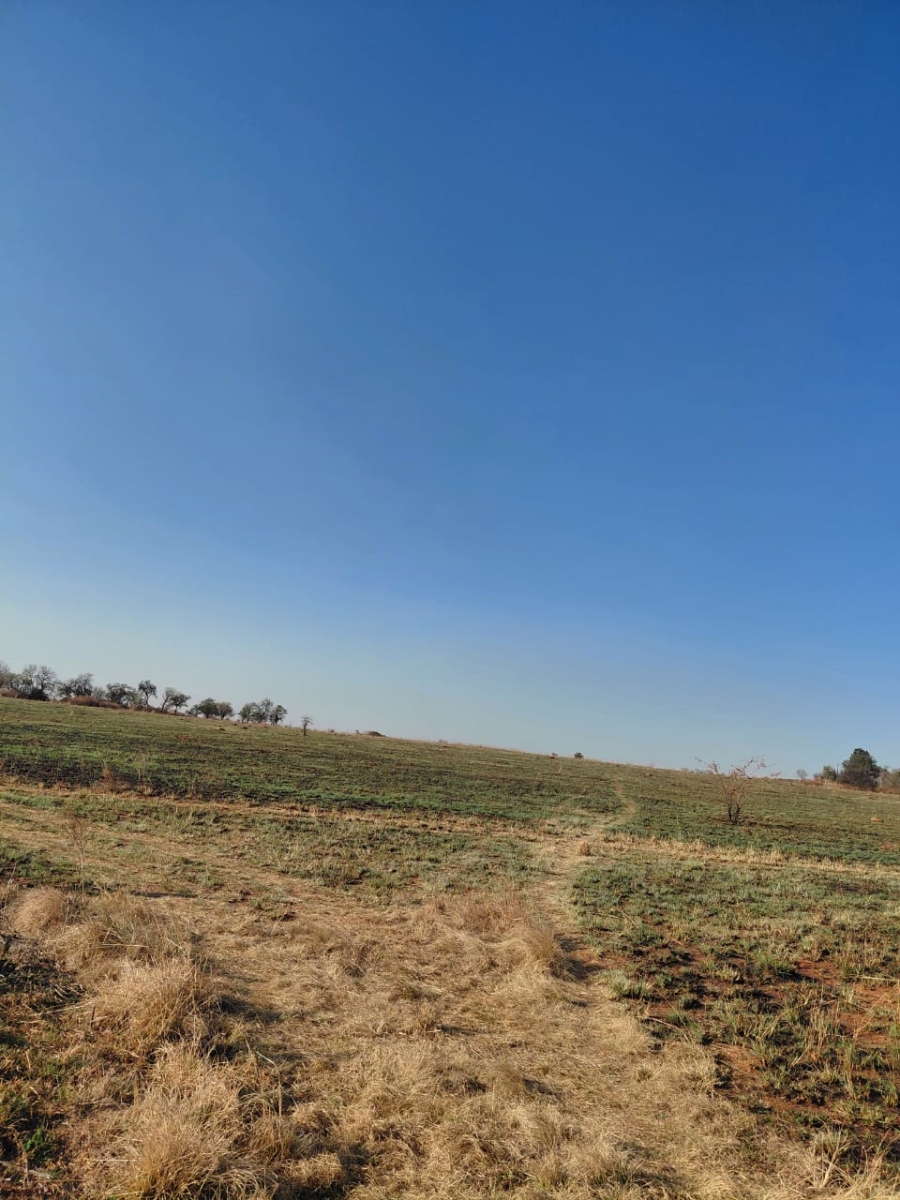 0 Bedroom Property for Sale in Knoppieslaagte Gauteng