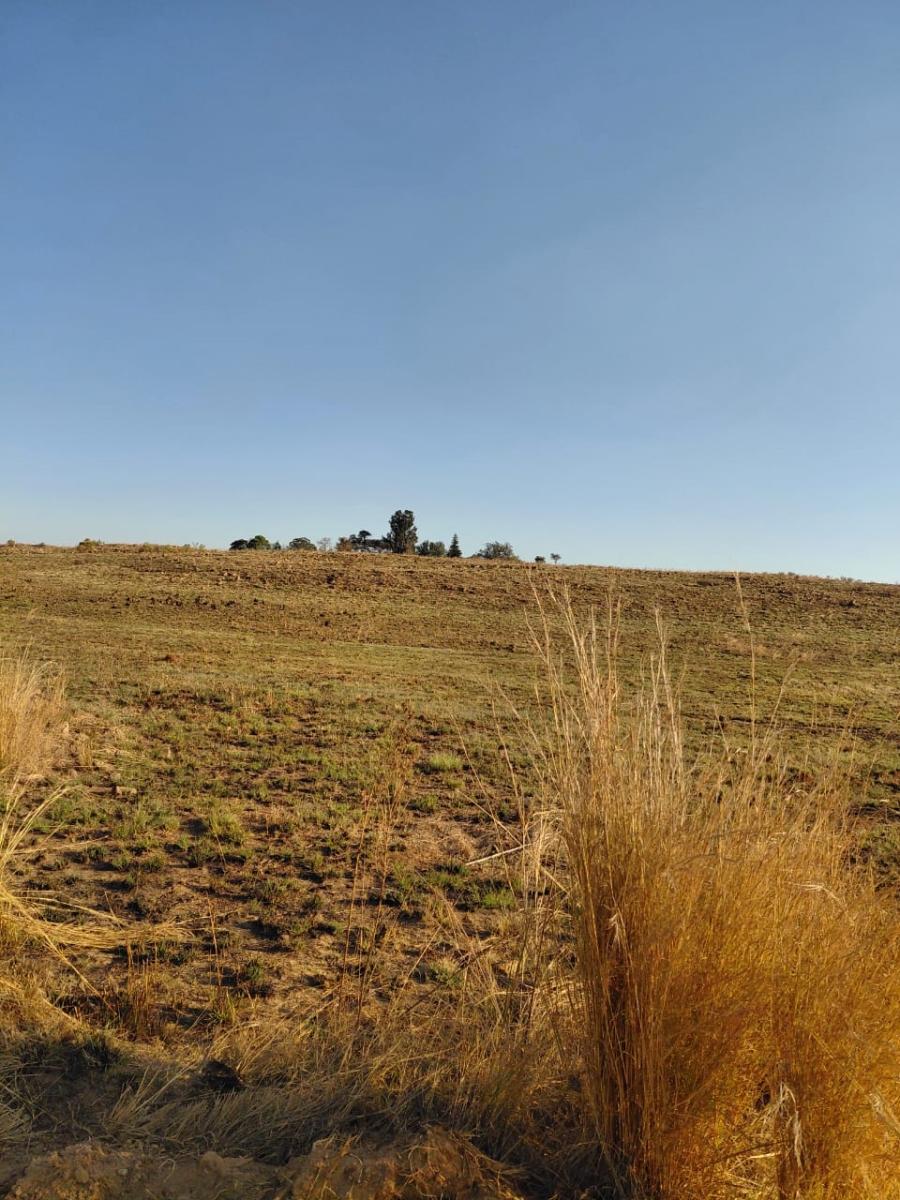 0 Bedroom Property for Sale in Knoppieslaagte Gauteng