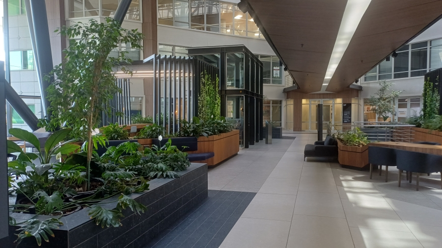 To Let Commercial Property for Rent in Sandton Central Gauteng
