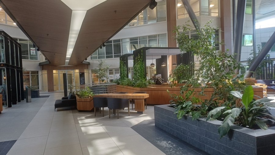 To Let Commercial Property for Rent in Sandton Central Gauteng