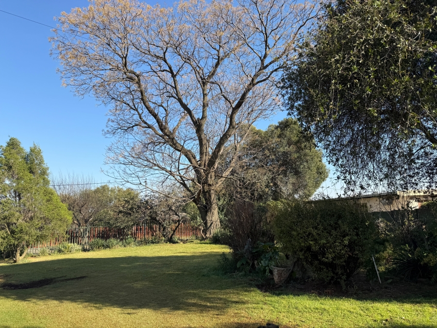 To Let 3 Bedroom Property for Rent in Florida Gauteng