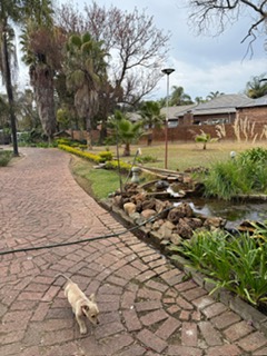 0 Bedroom Property for Sale in Equestria Gauteng