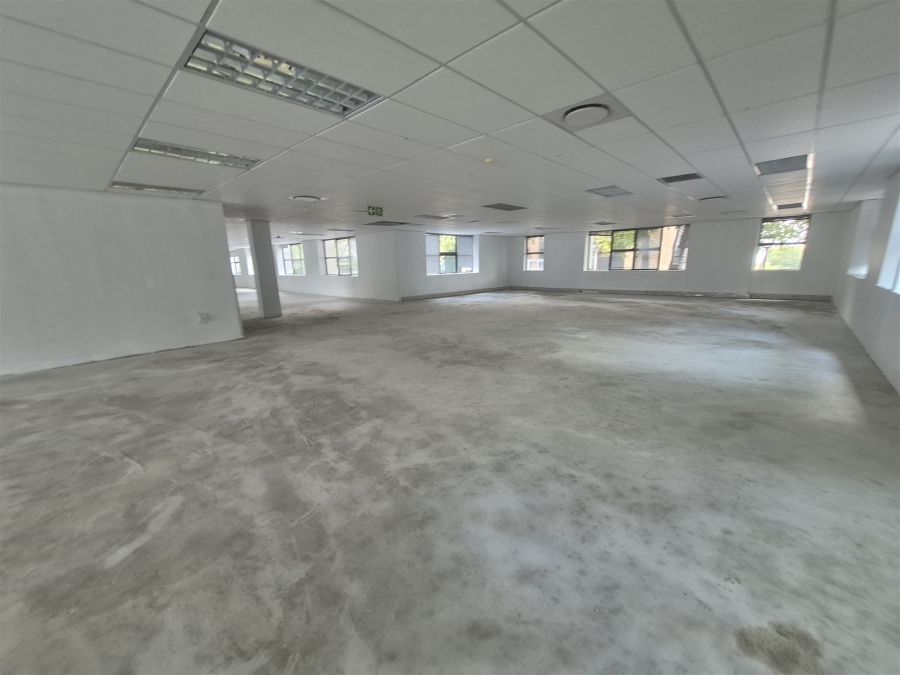 To Let Commercial Property for Rent in Illovo Gauteng