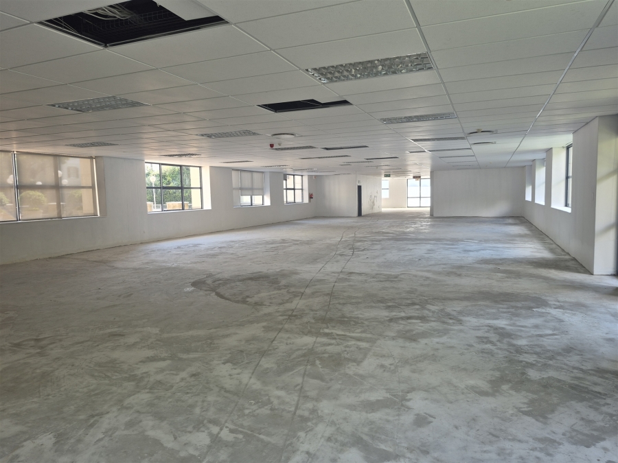 To Let Commercial Property for Rent in Illovo Gauteng