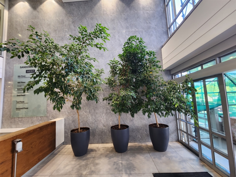 To Let Commercial Property for Rent in Sandown Gauteng