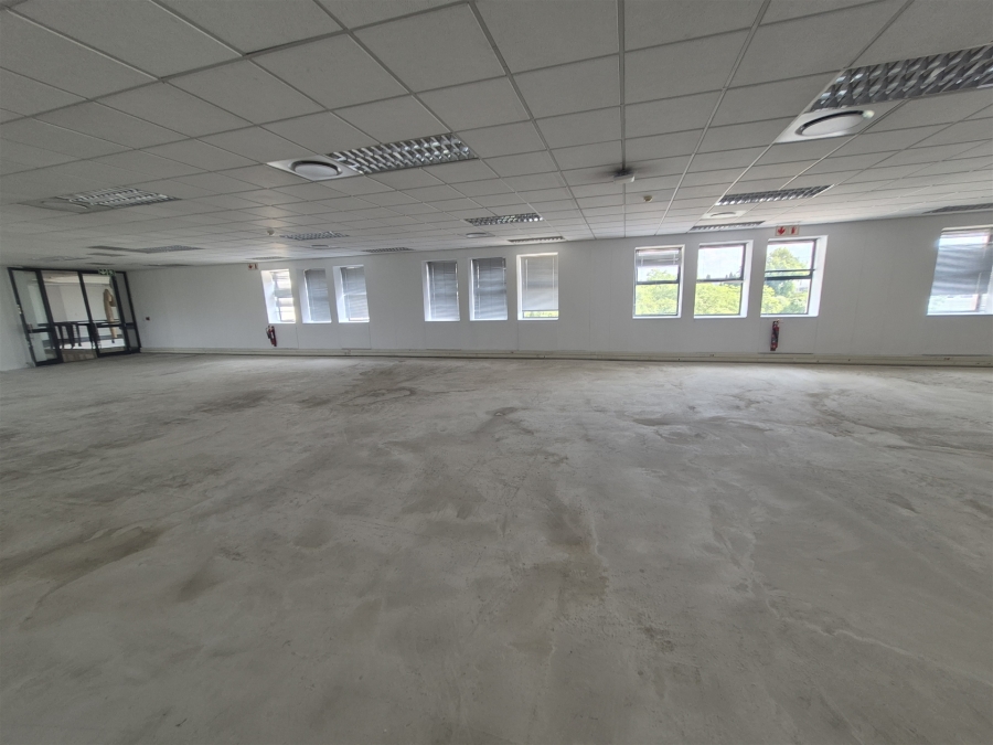 To Let Commercial Property for Rent in Illovo Gauteng