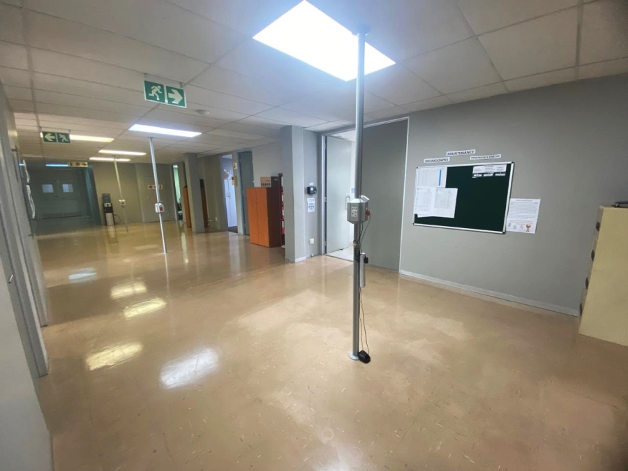 To Let Commercial Property for Rent in Randjespark Gauteng