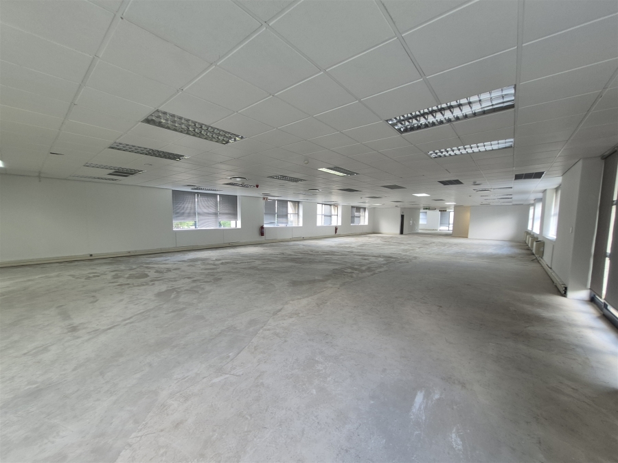 To Let Commercial Property for Rent in Illovo Gauteng