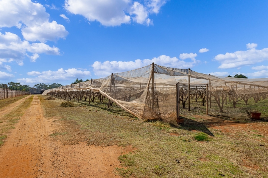 11 Bedroom Property for Sale in Benoni Orchards Ah Gauteng