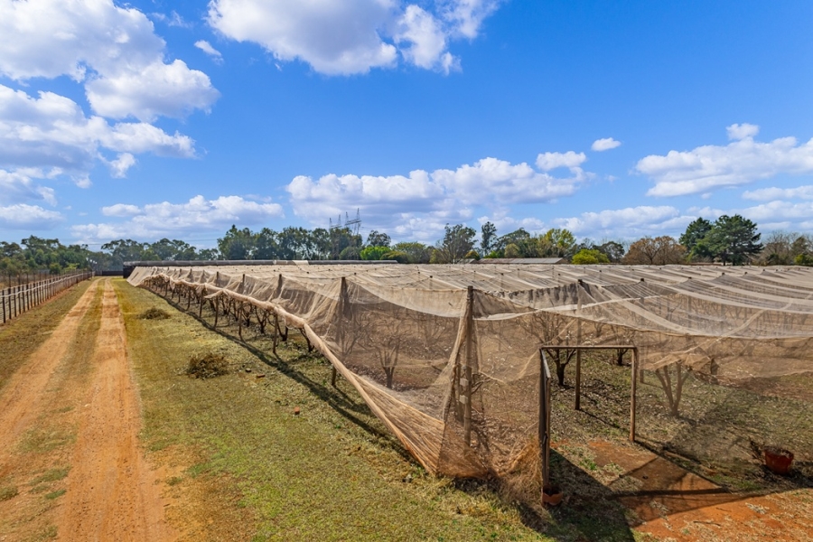 11 Bedroom Property for Sale in Benoni Orchards Ah Gauteng