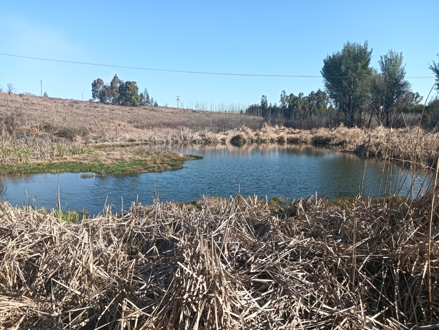 0 Bedroom Property for Sale in Sterkfontein A H Gauteng
