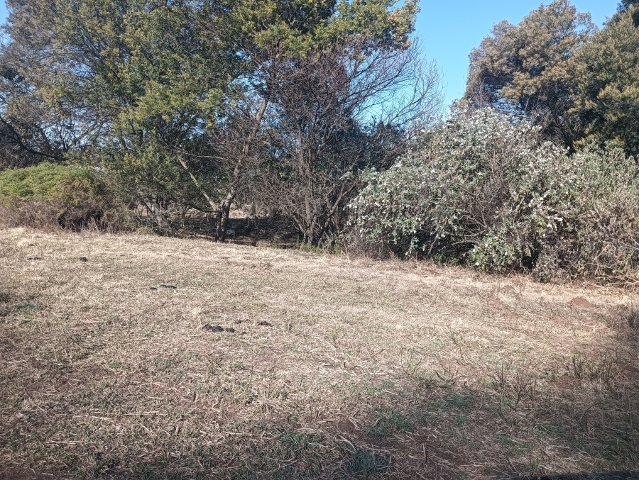 0 Bedroom Property for Sale in Sterkfontein A H Gauteng